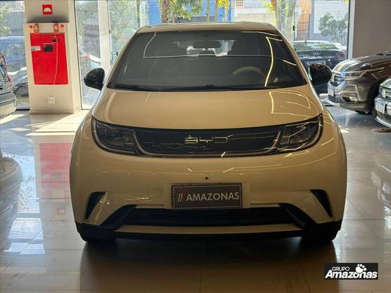 BYD DOLPHIN 44,9 KW ELÉTRICO BYD DOLPHIN 44,9 KW ELÉTRICO